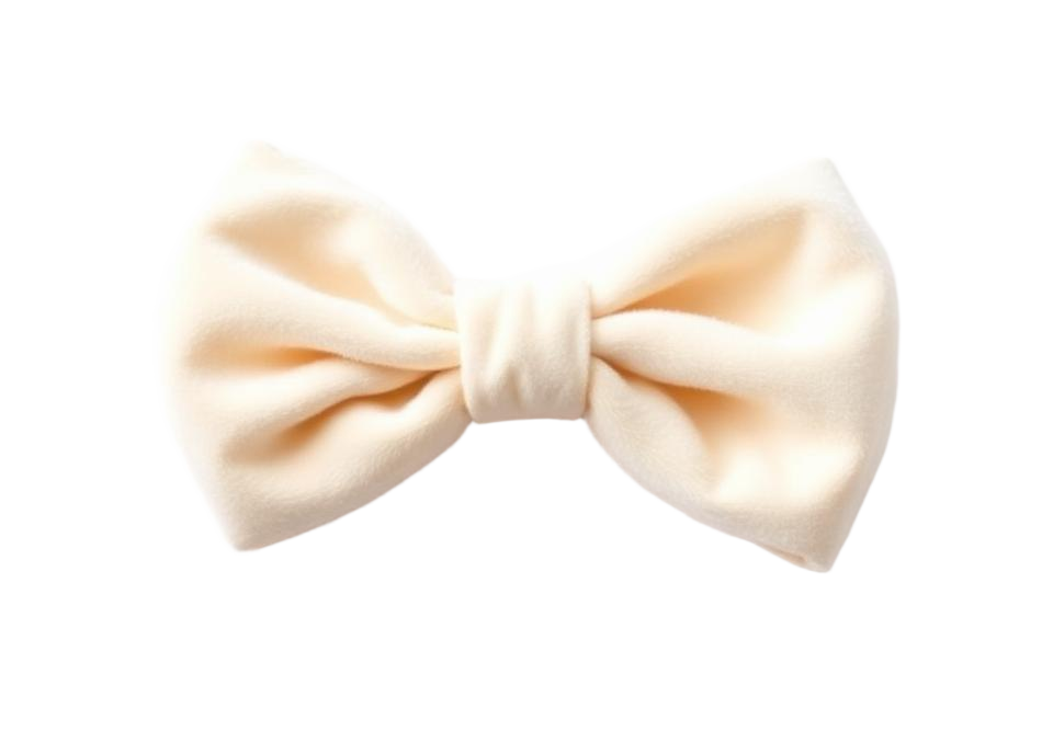 Plush Velvet hair bow